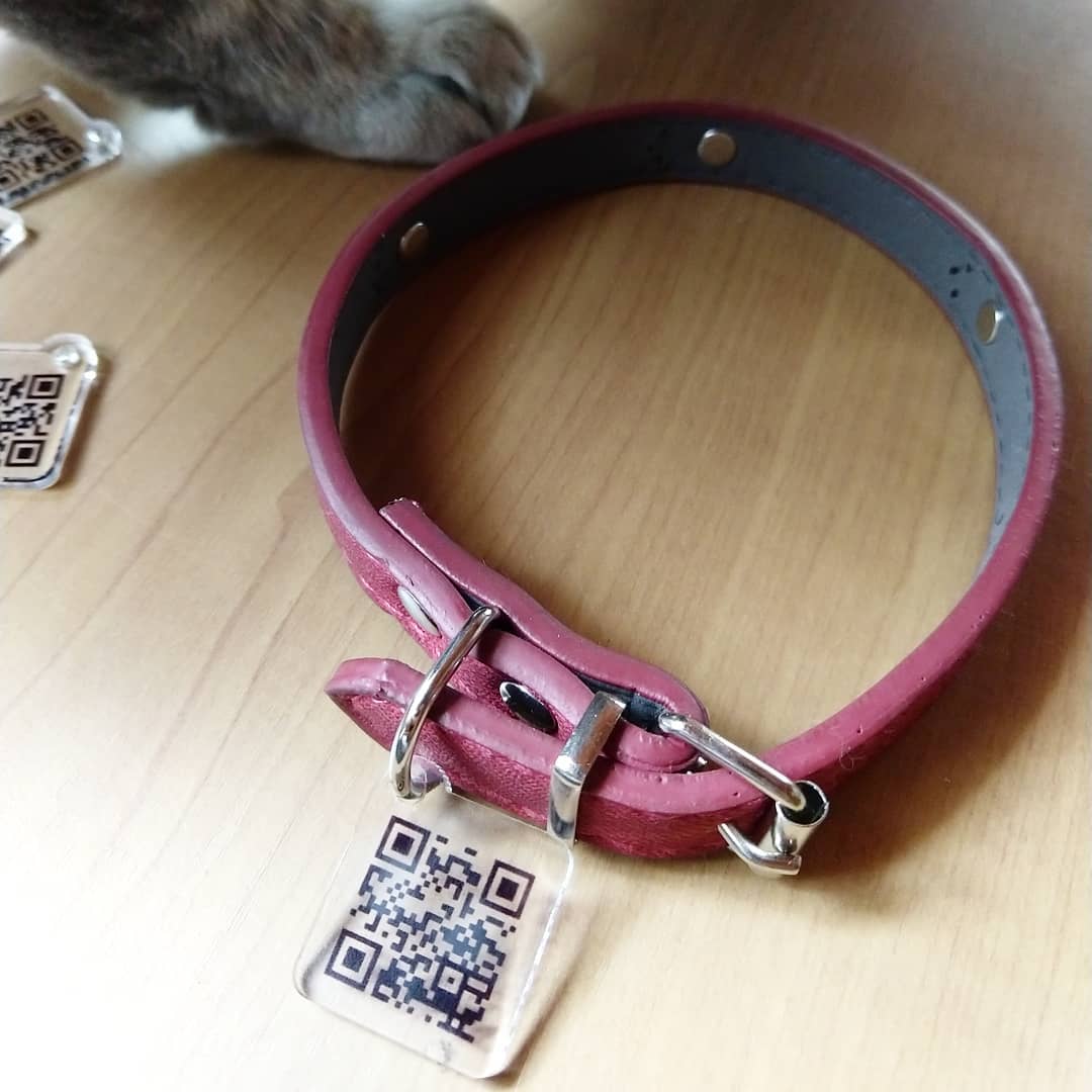 placeholder image-sq