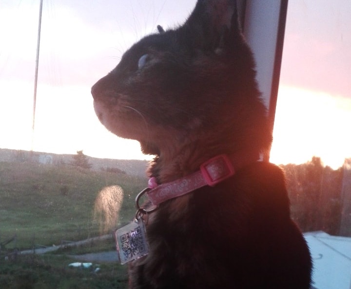 placeholder image-sq